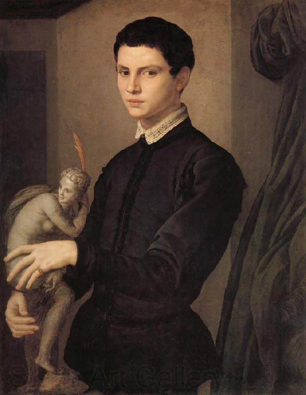 Agnolo Bronzino Portrait d'un sculpteur on d'un jeune amateur Norge oil painting art